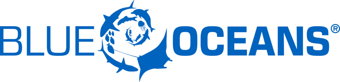 Blue Oceans