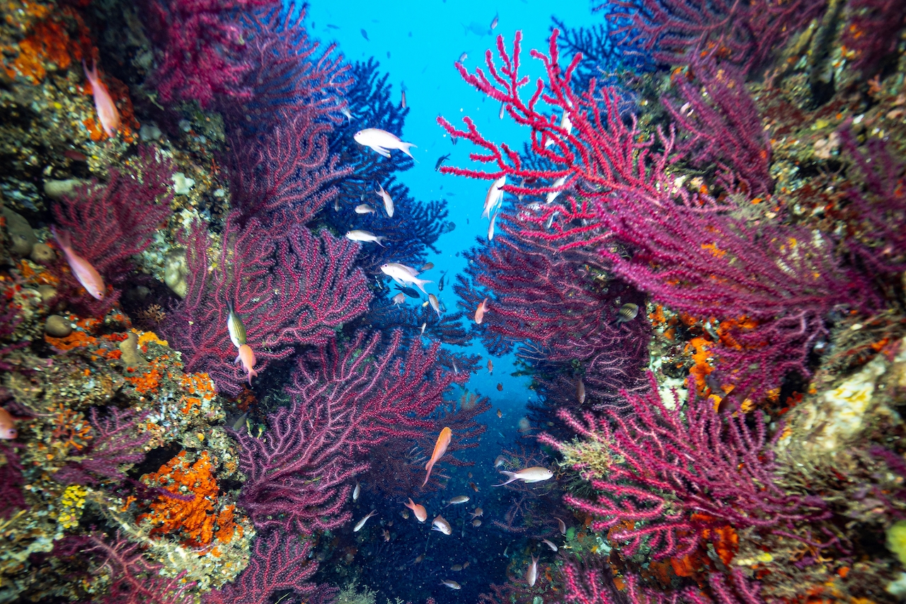 Banco di Santa Croce