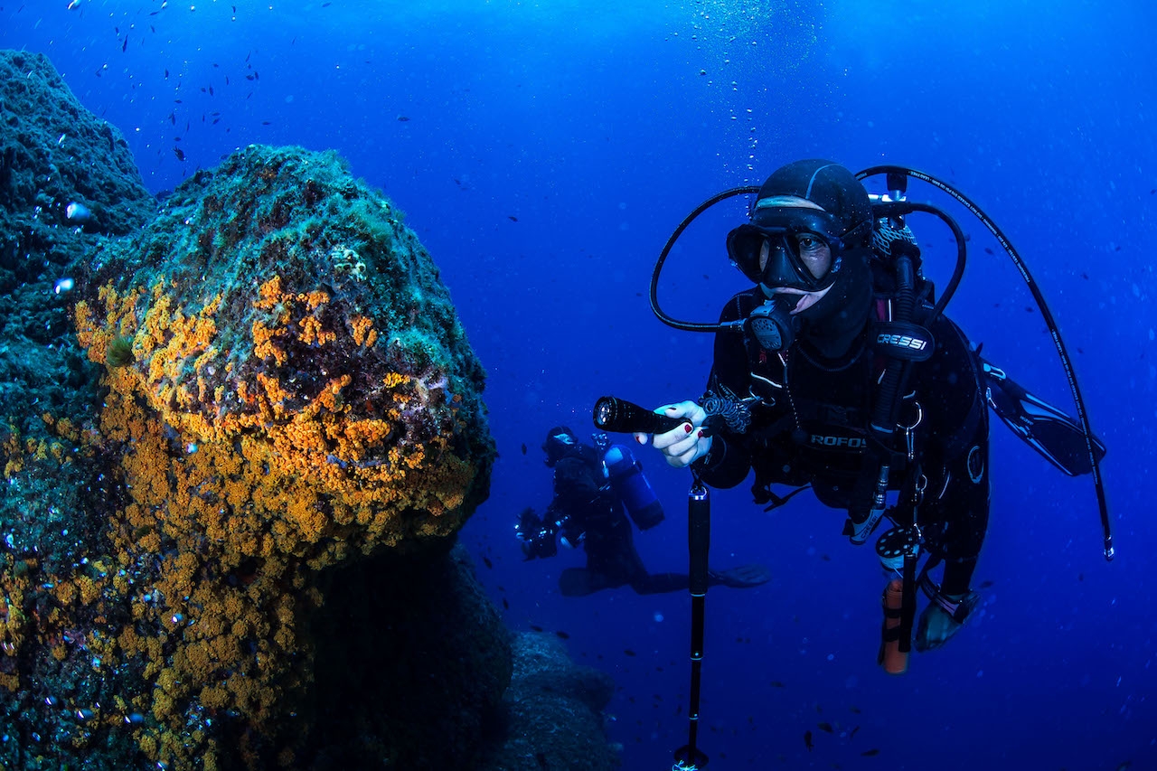 Banco di Santa Croce