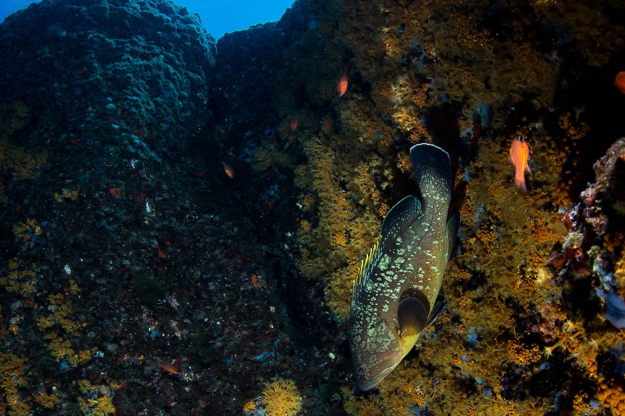 Banco di Santa Croce